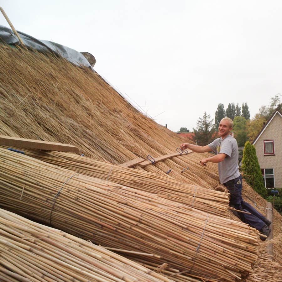 Professionele rietdekker lachend aan het werk